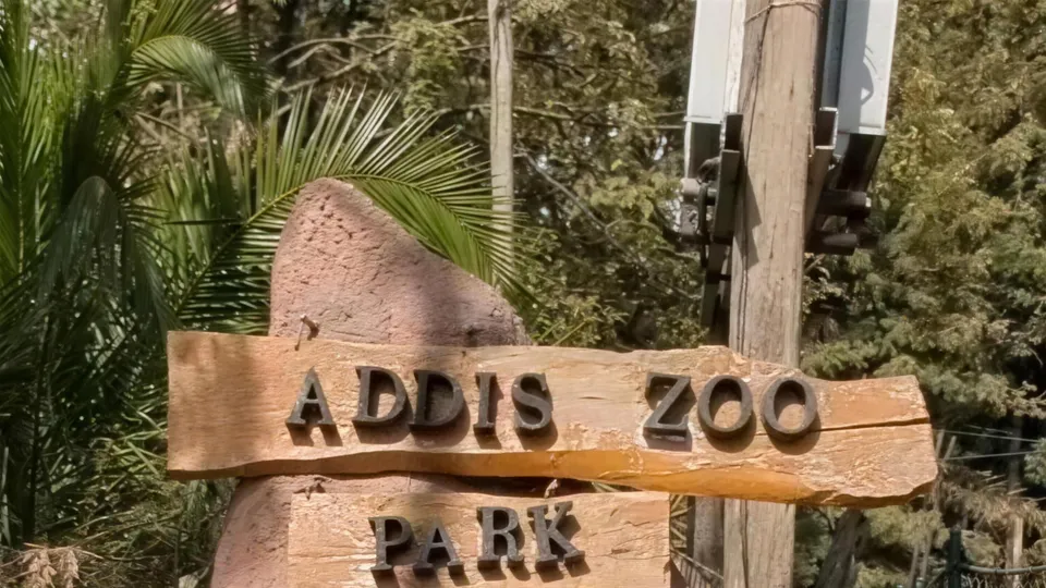 The carved entrance sign at Addis Zoo Park (Wegeland Park), Addis Ababa
